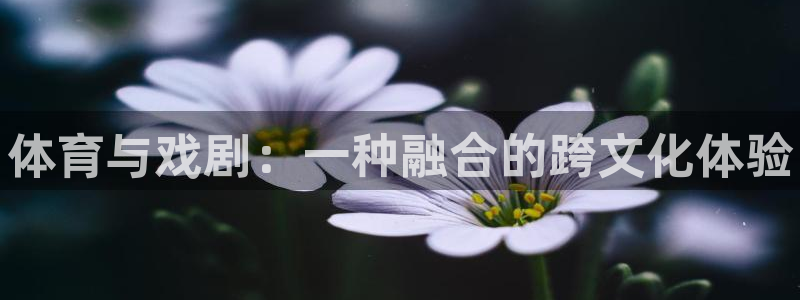 3377体育官网下载：体育与戏剧：一种融合的跨文化体