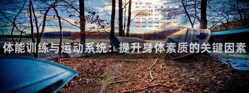 3377体育官网下载平台假的吗是真的吗吗：体能训练与