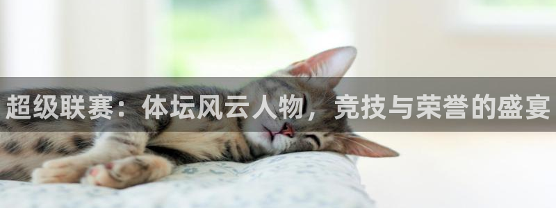 3377体育官网下载平台注册：超级联赛：体坛风云人物