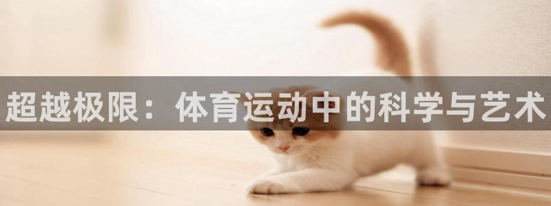 3377体育官网下载招商电话号码是多少号：超越极限：