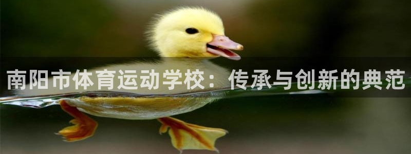 3377体育官方正版app集团官网首页网址：南阳市体