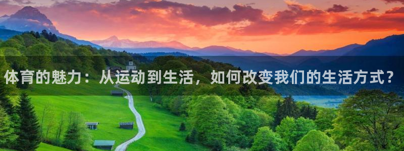 3377体育官方平台体育：体育的魅力：从运动到生活，