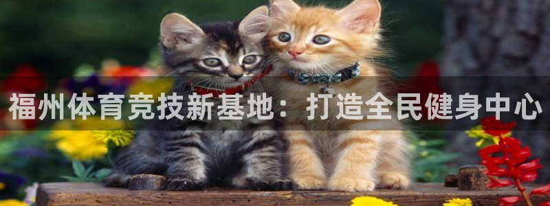 3377体育官方正版app代理：福州体育竞技新基地：