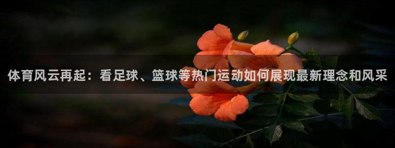 3377体育官网下载招商电话号码是多少