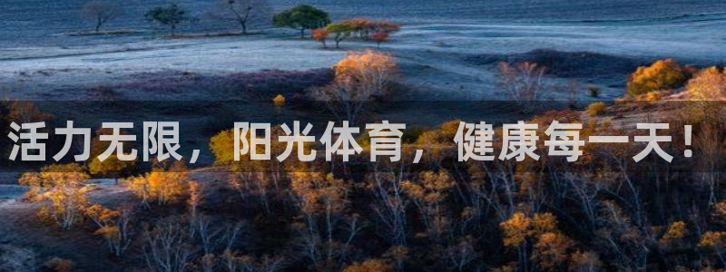 注册3377体育官方正版app：活力无限，阳光体育，