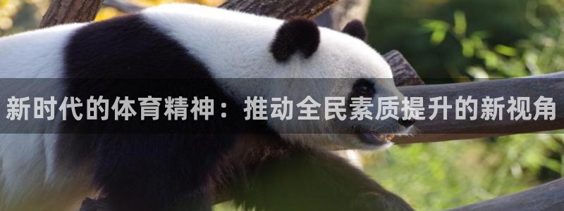 3377体育官网下载娱乐：新时代的体育精神：推动全民素质提升