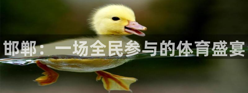 3377体育官方正版app科技：邯郸：一场全民参与的体育盛宴
