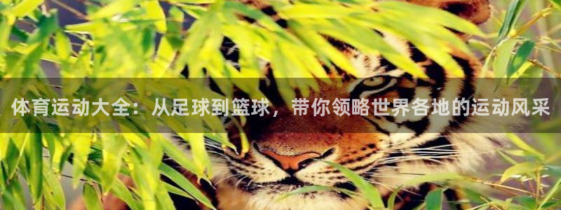 3377体育官网下载招商电话号码是多少号：体育运动大全：从足