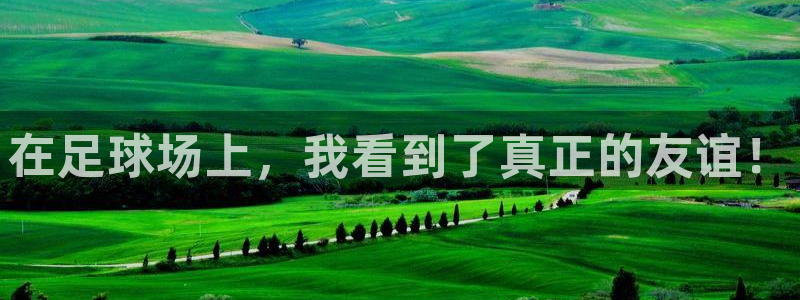 3377体育官方正版app集团官网网址：在足球场上，我看到了
