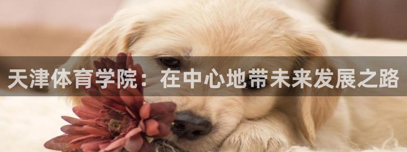 3377体育官网下载开户