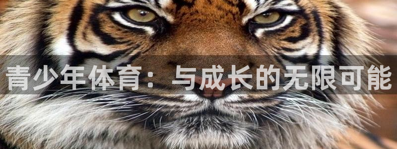 3377体育官网下载软件：青少年体育：与成长的无限可能