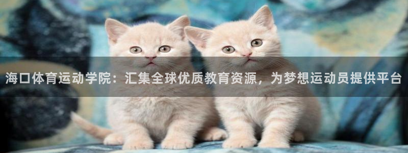 3377体育官网下载平台假的吗是真的吗吗：海口体育运