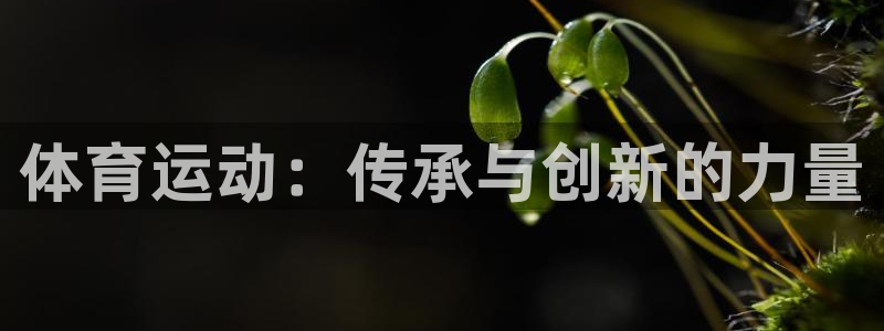 3377体育官网下载招商电话是多少号码：体育运动：传