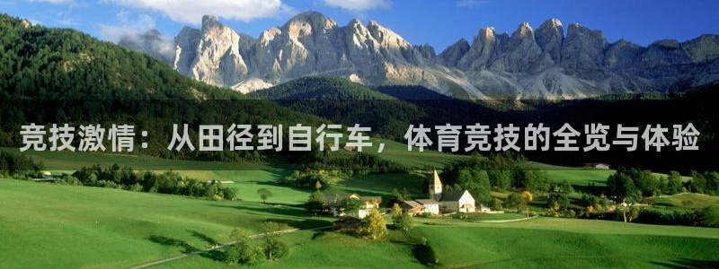 3377体育官网下载招商：竞技激情：从田径到自行车，体育竞技